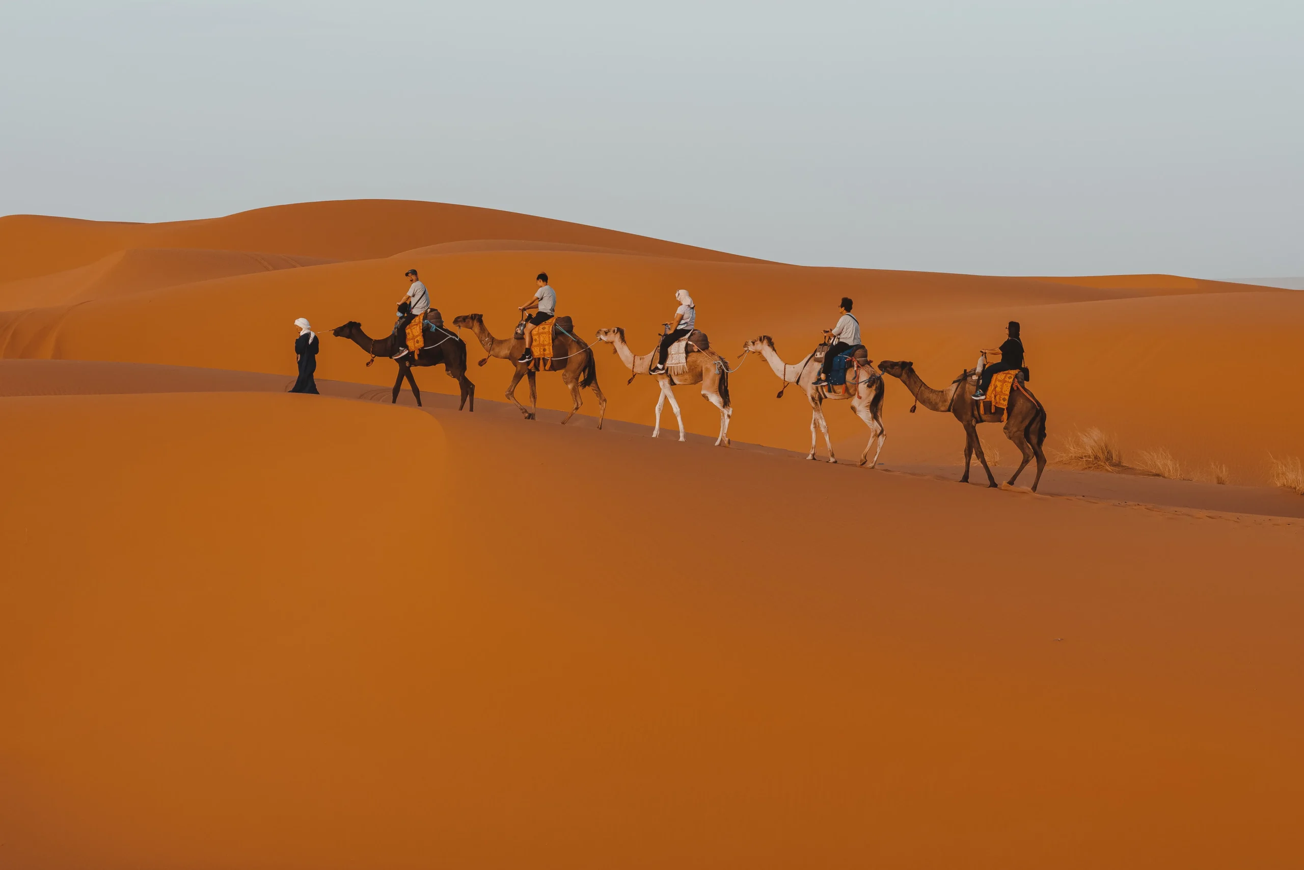 5-day desert tour from Fes camel caravan trekking across Merzouga Sahara sand dunes Morocco