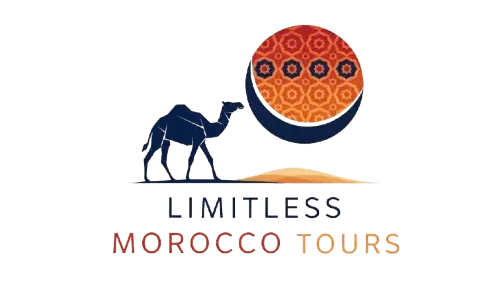 LOGO FOR THE LIMITLESS COMPANY