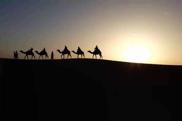 the Stars from the Shifting Dunes of the Sahara