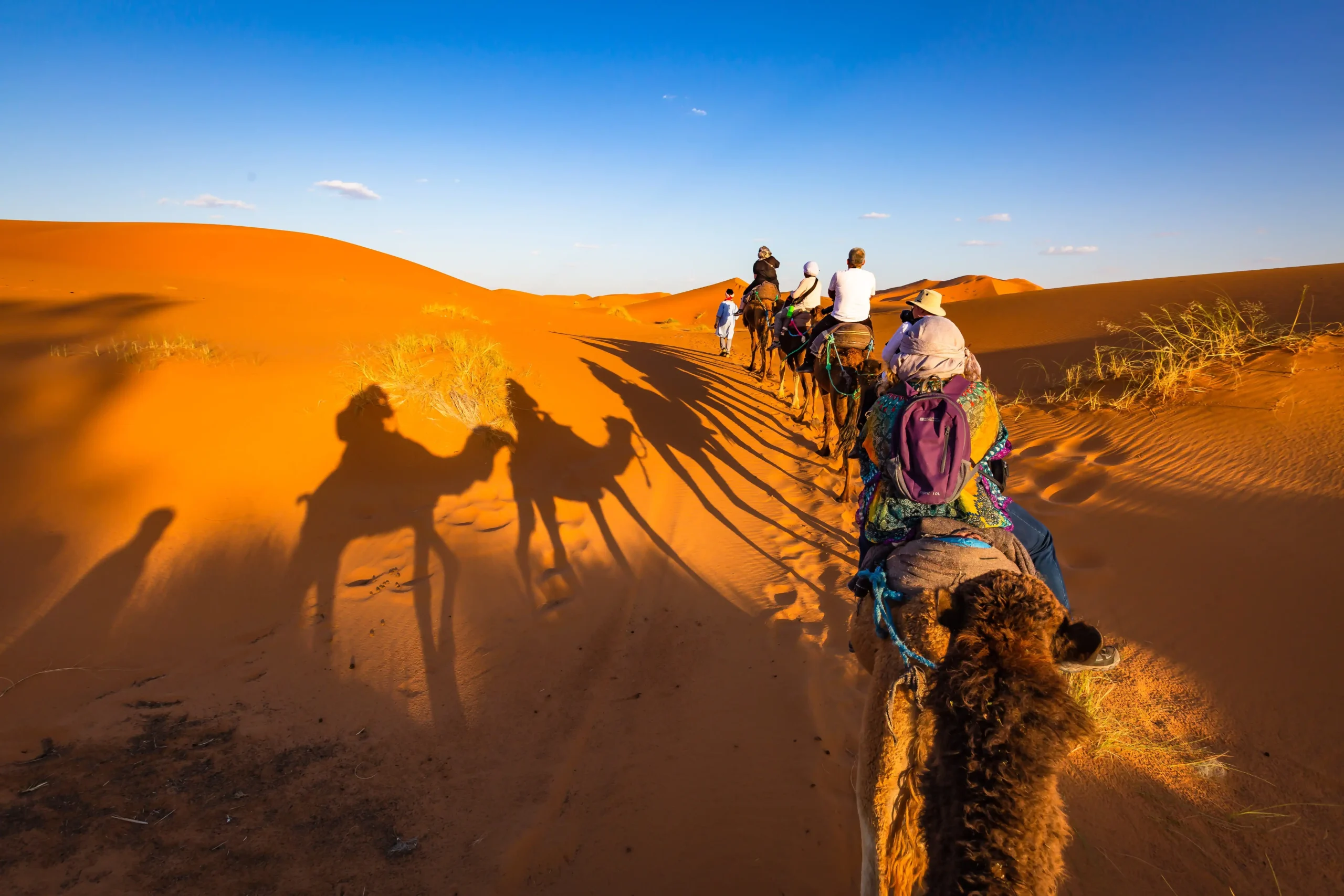 Marrakech desert tours with camel ride in Sahara Desert dunes