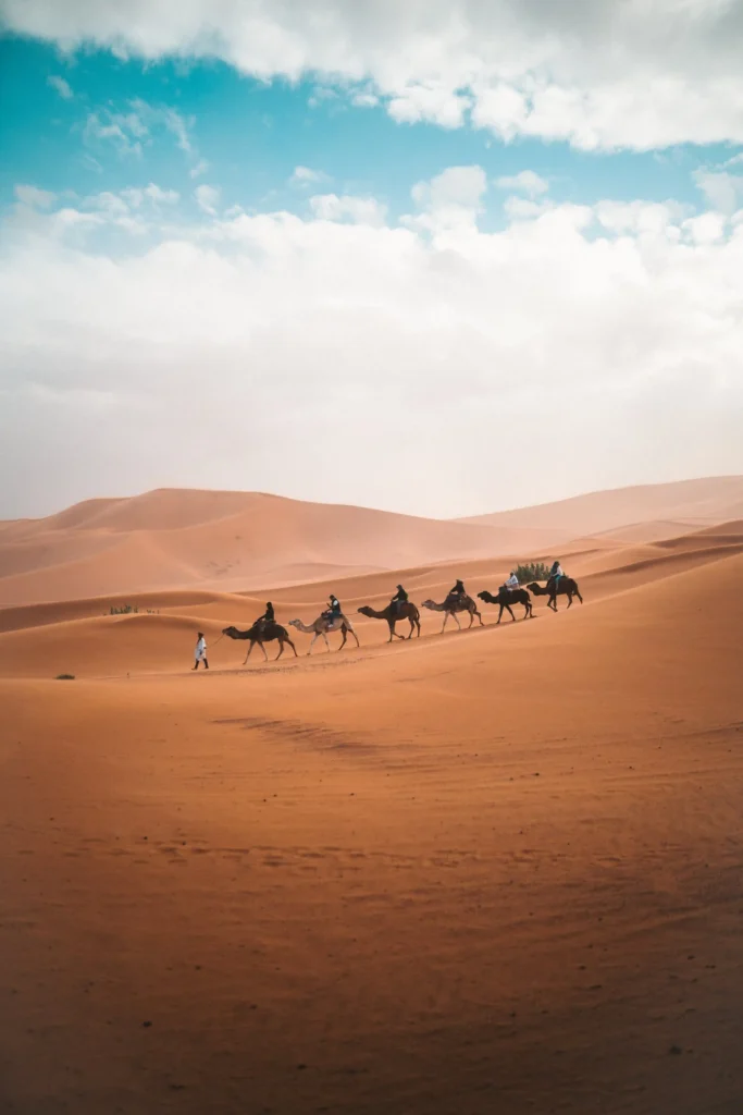 Marrakech Sahara desert tour with camel caravan in desert dunes