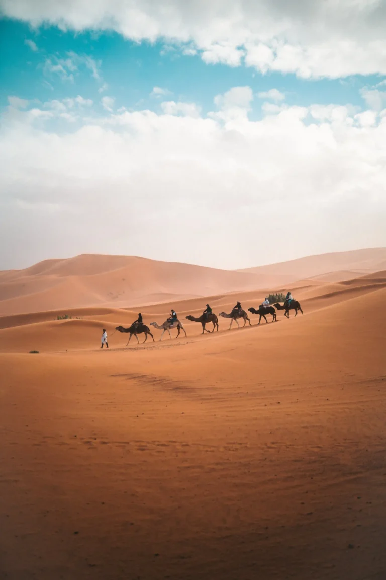 Marrakech Sahara desert tour with camel caravan in desert dunes